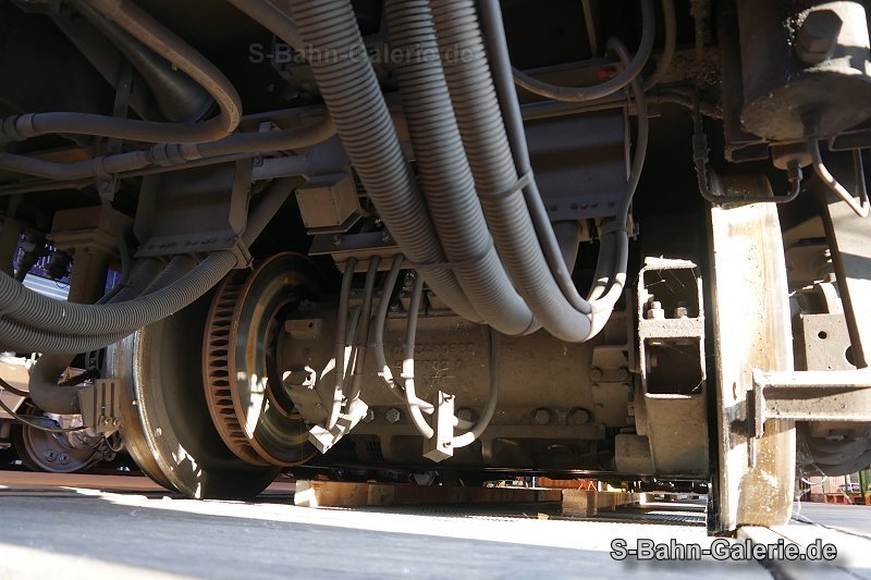 485 129 am 19.01.2025 im Deutschen Technikmuseum Berlin - Foto: Olaf Hoell - S-Bahn-Galerie.de 485 129 am 19.01.2025 im Deutschen Technikmuseum Berlin - Foto: Olaf Hoell - S-Bahn-Galerie.de
