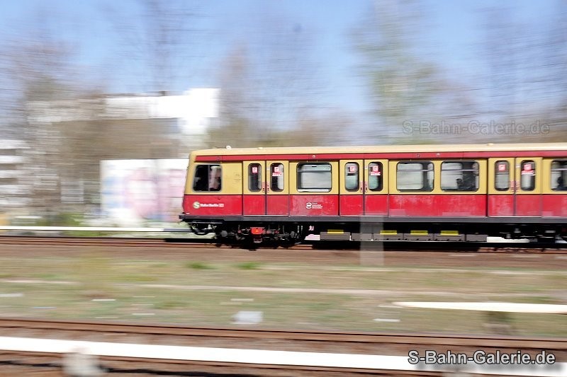 Zug der Baureihe 485 am 21.04.2021 in Jungfernheide - Foto: Olaf Hoell - S-Bahn-Galerie.de Zug der Baureihe 485 am 21.04.2021 in Jungfernheide - Foto: Olaf Hoell - S-Bahn-Galerie.de